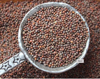 How to Make the Most of Organic Broccoli Sprout Seeds in Your Diet