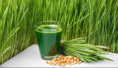 Nature's Root: Your Go-To Online Shop for Organic Superfoods