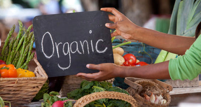 Unlocking Nature’s Power - The Superfoods Your Body Needs