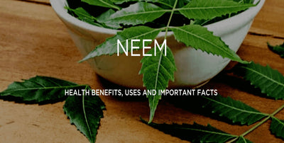 Neem Powder at Home - A Simple Natural Remedy for Skin & Scalp