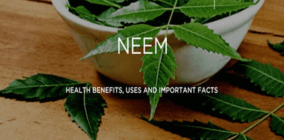 Neem Powder at Home - A Simple Natural Remedy for Skin & Scalp