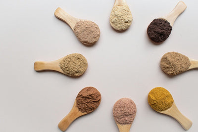 Mushroom Powders: A Guide to 8 Types and How to Use Them