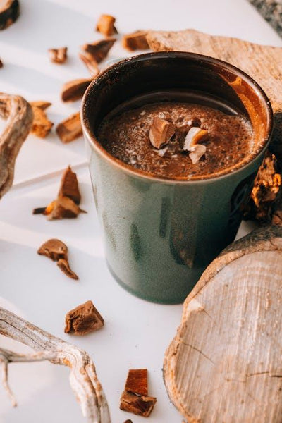 Die Kraft des Reishi-Pilzpulvers: Ein Leitfaden zu seinen Vorteilen, Verwendungsmöglichkeiten und wie Sie es in Ihre tägliche Routine integrieren können