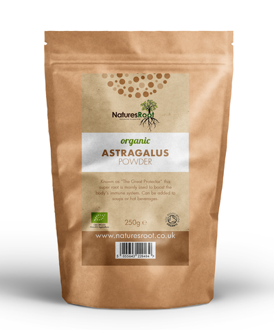 Organic Astragalus Powder by Nature's Root – 60g Herbal Powder