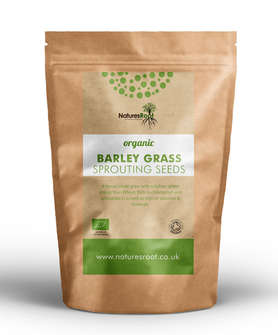 Organic Barley Grass Sprouting Seeds by Nature's Root – 60g Green Superfood Powder