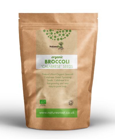 Organic Broccoli 'Calabrese' Sprouting Seeds by Nature's Root – 125g Green Superfood Powder