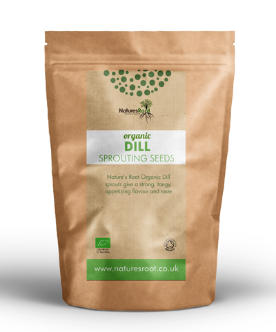 Organic Dill Sprouting Seeds – Sprouting Seeds
