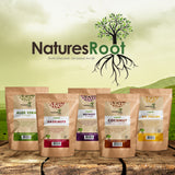 Organic Blackcurrant Powder by Nature's Root – 500g Natural Fruit Powder