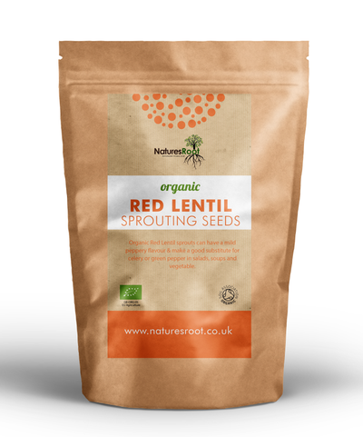 Organic Red Lentil Sprouting Seeds
