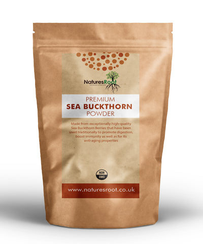 Premium Sea Buckthorn Berry Powder – Herbal Powder