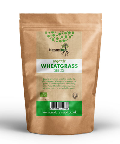 Organic Wheatgrass Seeds – For Wheatgrass Trays & Juicing