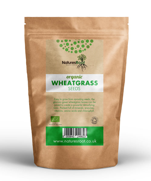 Organic Wheatgrass Seeds by Nature's Root – 60g Green Superfood Powder