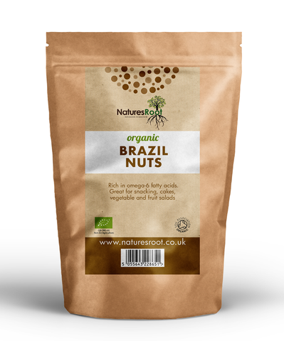 Organic Brazil Nuts by Nature's Root – 250g Herbal Powder