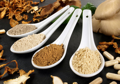 5 Ways to consume Lion's Mane Mushroom Powder