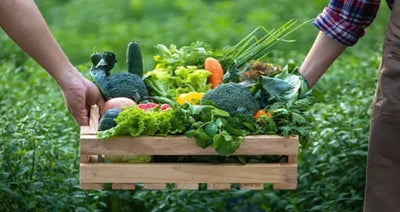 Eco-Friendly Eating: How Shopping Organic Helps the Planet