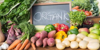 From Soil to Soul Why Natural Remedies Still Matter