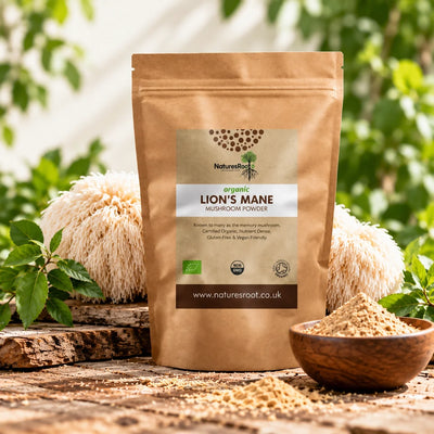 Mushroom Extract vs Mushroom Powder: What's the Difference?
