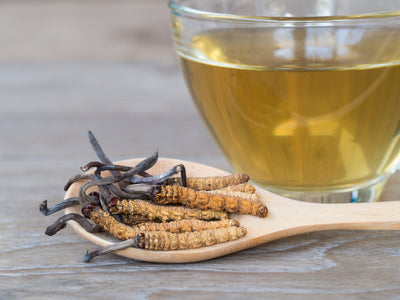 Die Vorteile der Verwendung von Bio-Cordyceps-Pilzpulver für optimale Gesundheit und Wohlbefinden 