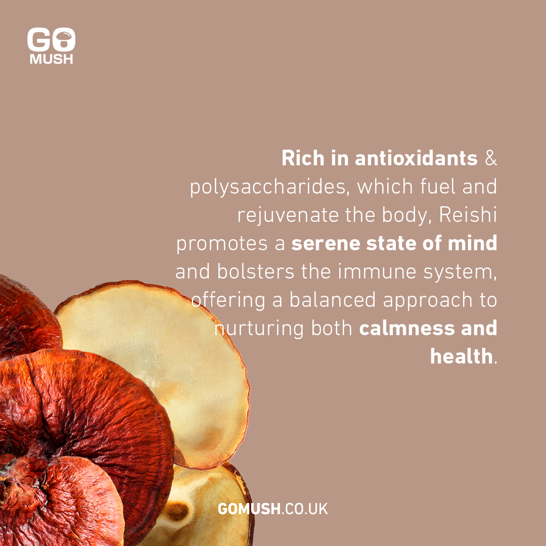 Dose GoMush® Reishi-Pilzextrakt-Pulver, 60 g (Bild 6)