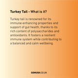Tin of GoMush® Turkey Tail Mushroom Extract Powder, 60g (image 4)