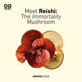 Tin of GoMush® Reishi Mushroom Extract Powder, 60g (image 2)