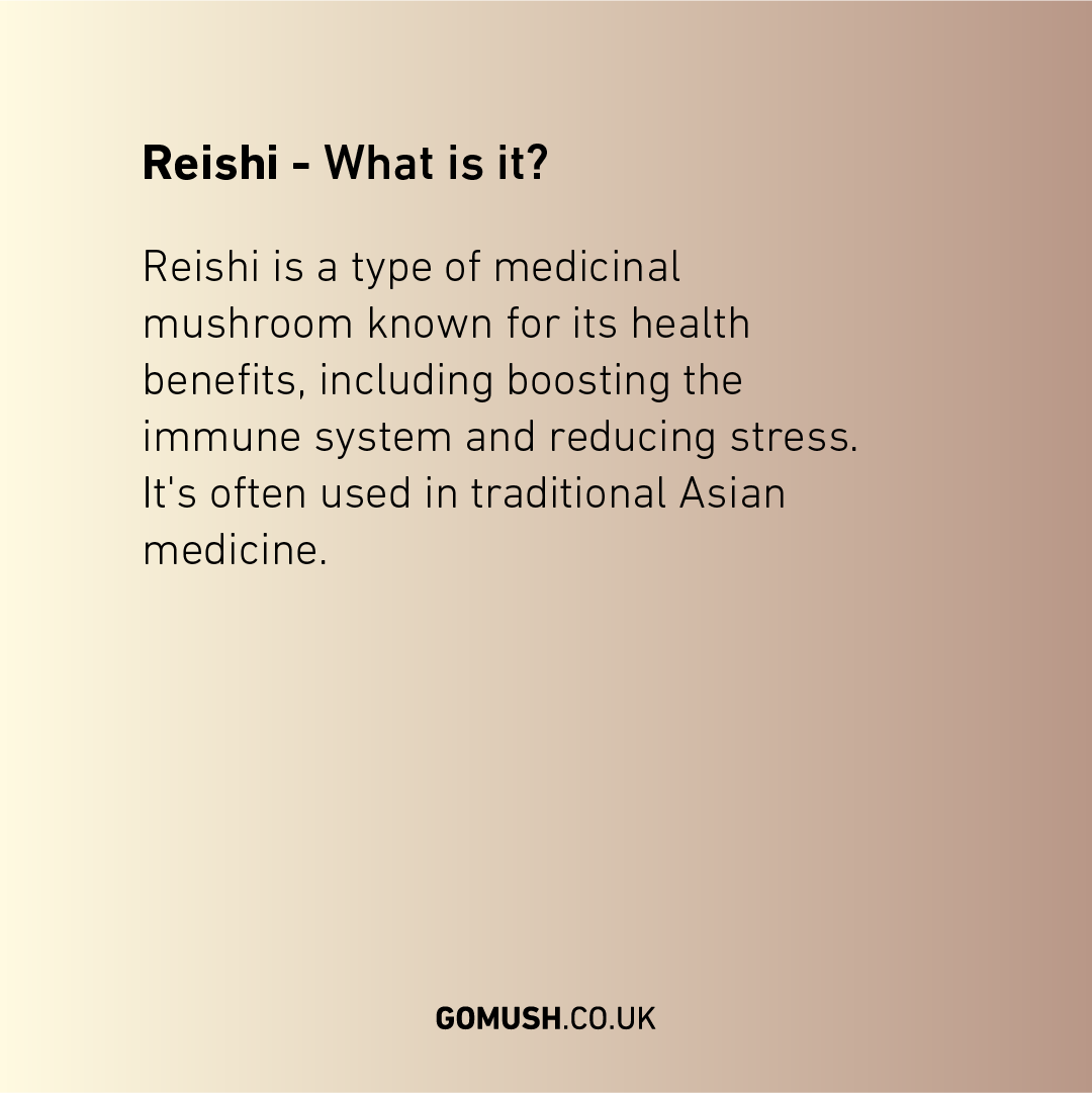 Dose GoMush® Reishi-Pilzextrakt-Pulver, 60 g (Bild 3)