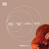 Tin of GoMush® Reishi Mushroom Extract Powder, 60g (image 5)