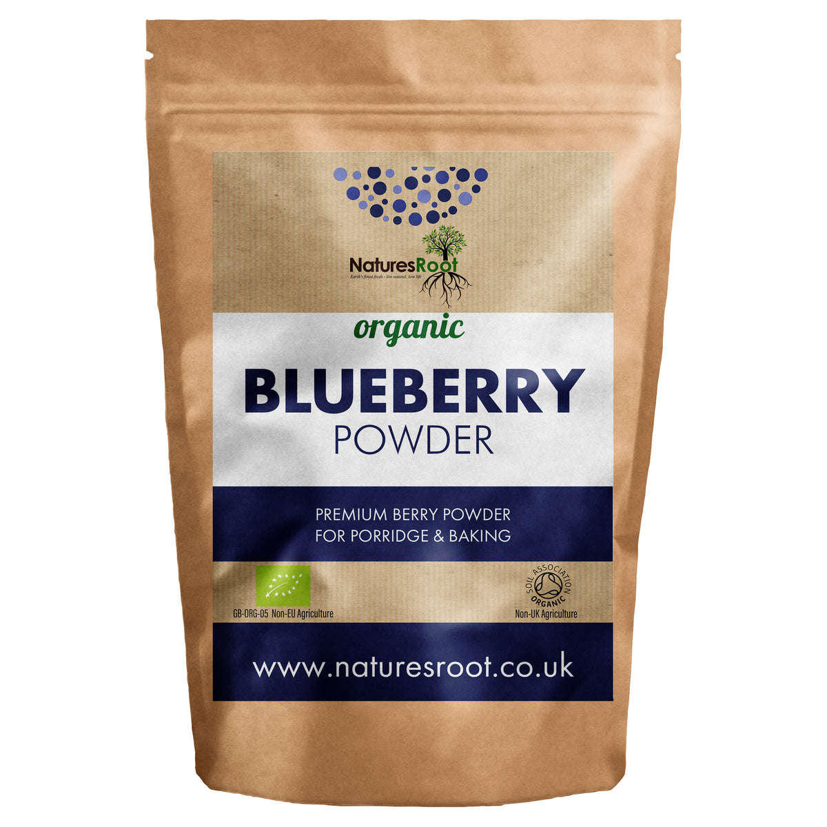 Organic Raw Blueberry Powder by Nature's Root - front of pouch
