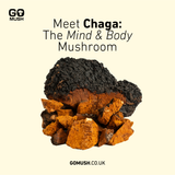 Tin of GoMush® Chaga Mushroom Extract Powder, 60g (image 2)