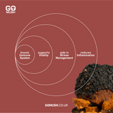 Tin of GoMush® Chaga Mushroom Extract Powder, 60g (image 5)