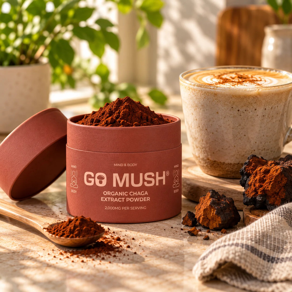 GoMush® Chaga-Pilzextrakt-Pulver von Nature's Root
