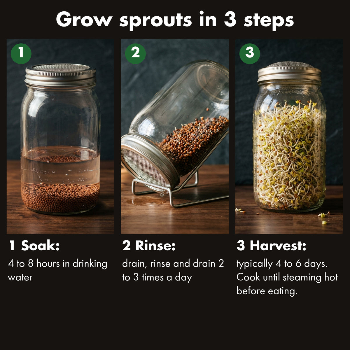 Three steps to sprout raab seeds in a jar: soak, rinse, harvest.