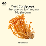 Tin of GoMush® Cordyceps Mushroom Extract Powder, 60g (image 3)