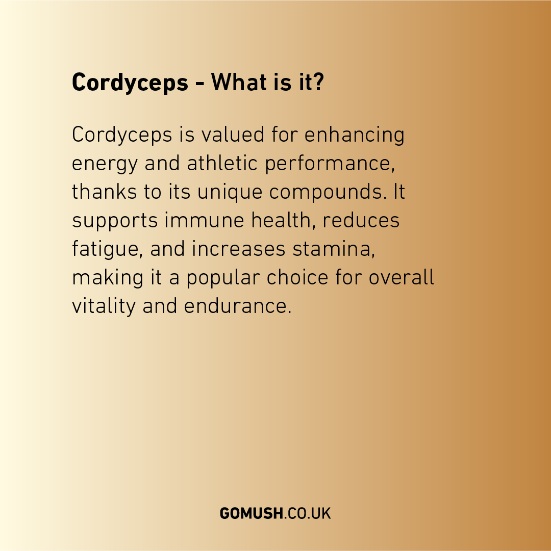 Dose GoMush® Cordyceps-Pilzextrakt-Pulver, 60 g (Bild 4)