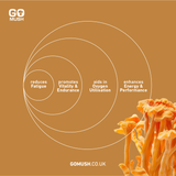 Tin of GoMush® Cordyceps Mushroom Extract Powder, 60g (image 6)