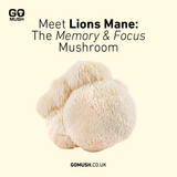 Tin of GoMush® Lion's Mane Mushroom Extract Powder, 60g (image 2)