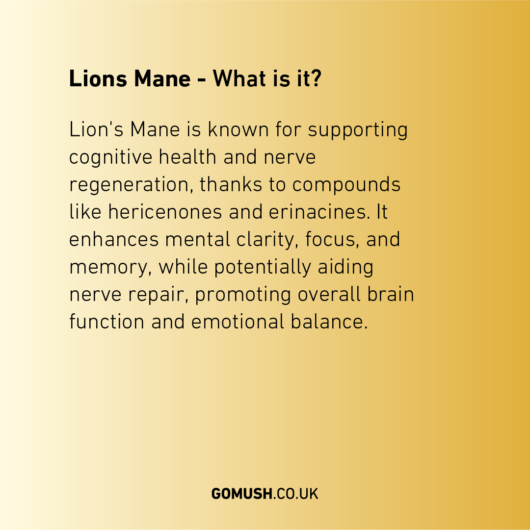 Tin of GoMush® Lion's Mane Mushroom Extract Powder, 60g (image 3)