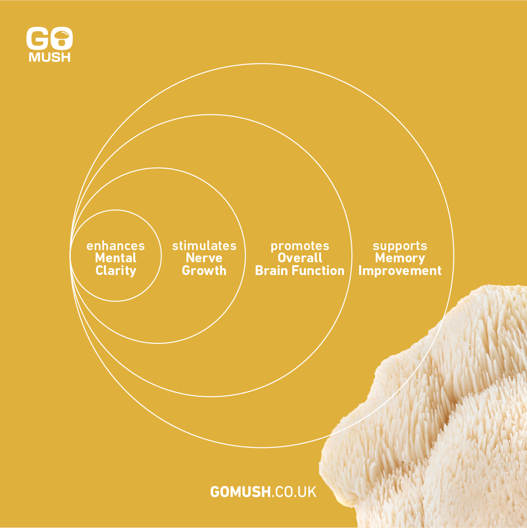 Tin of GoMush® Lion's Mane Mushroom Extract Powder, 60g (image 5)