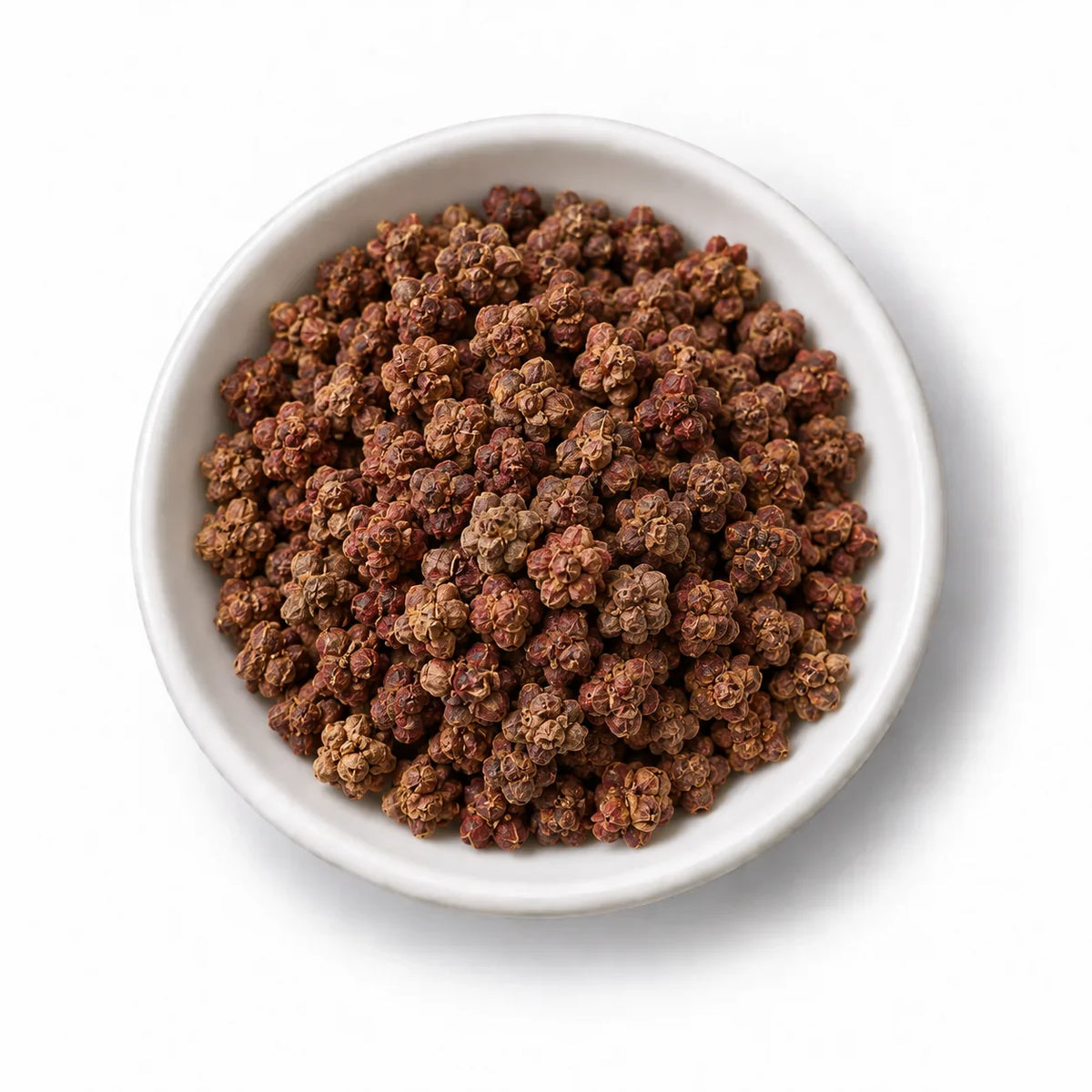 Organic Red Beetroot Sprouting Seeds in a white dish