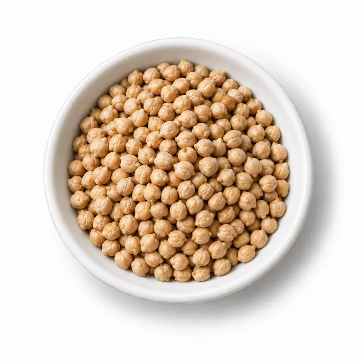 Organic Chickpeas for Sprouting in a white dish