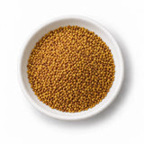 Organic Italian Clover Sprouting Seeds in a white dish