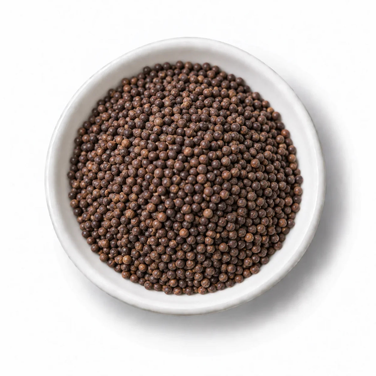 Organic 'Nero di Toscana' Kale Seeds in a white dish