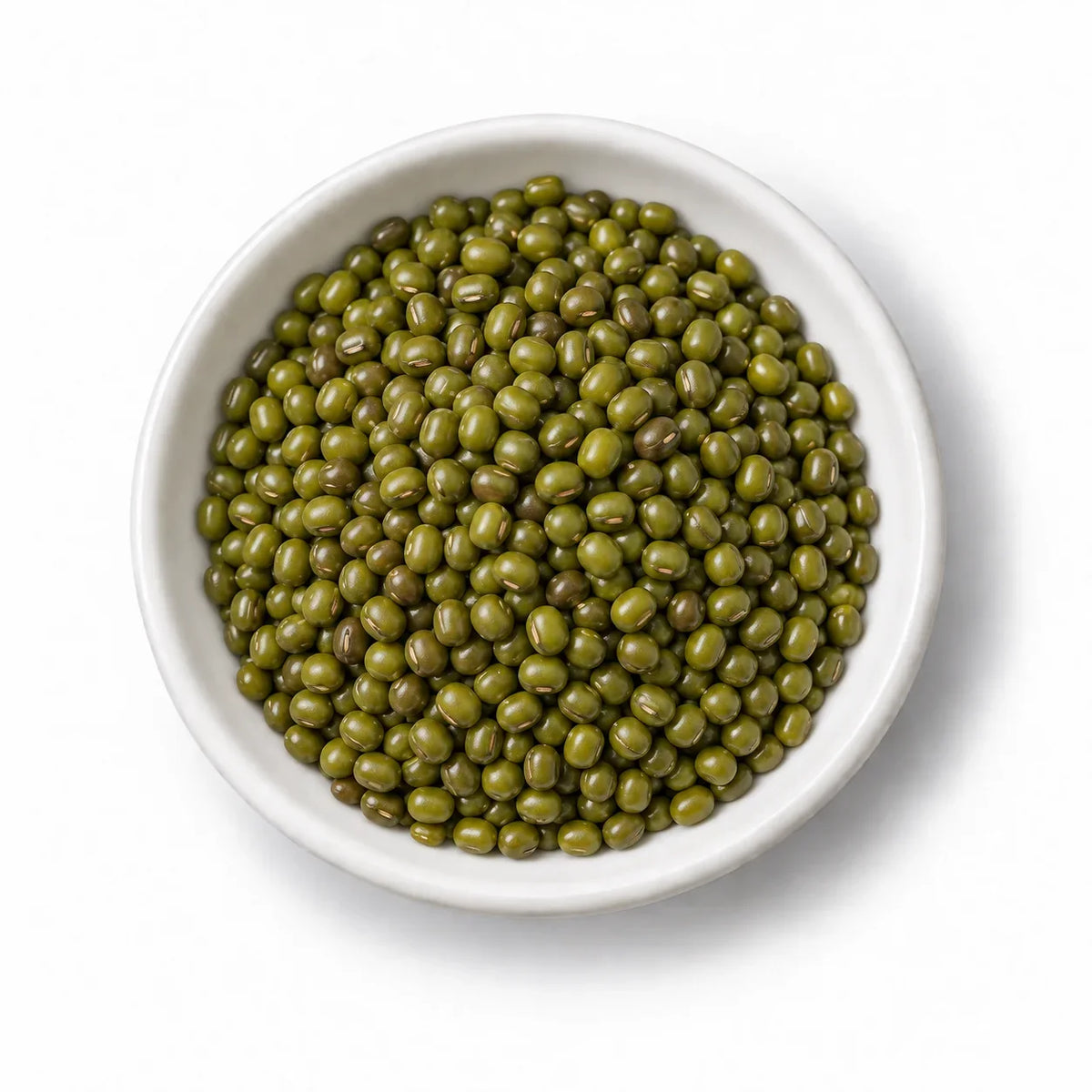 Organic Mung Bean Sprouting Seeds in a white dish