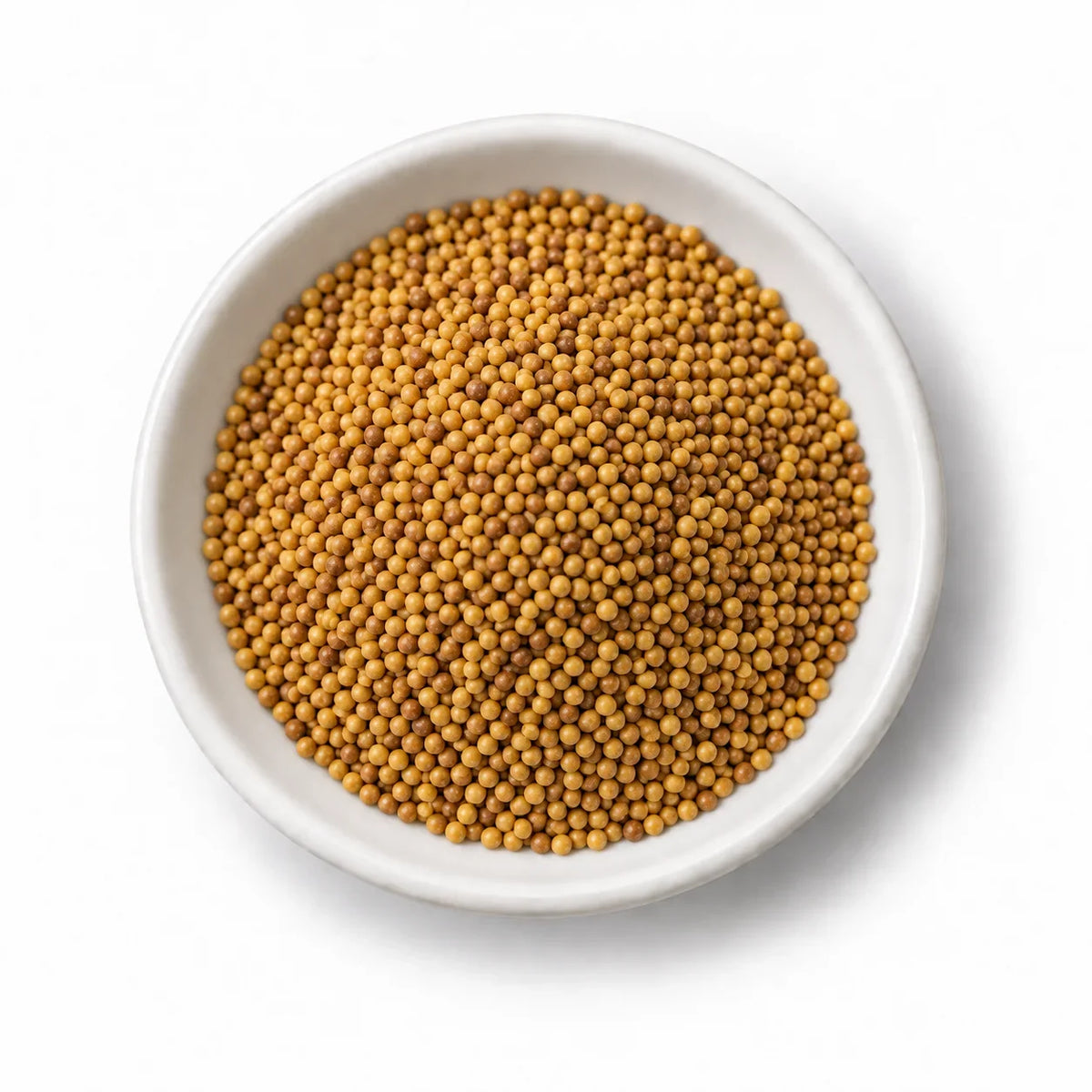 Organic Mustard Sprouting Seeds in a white dish