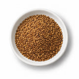 Organic Rocket (Arugula) Sprouting Seeds in a white dish