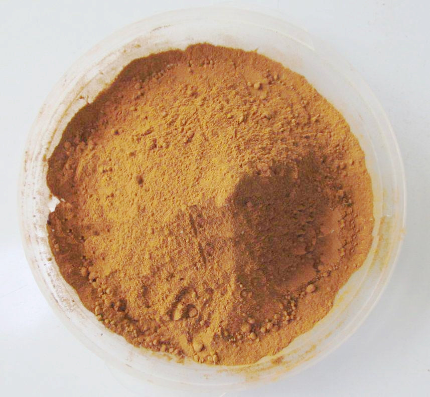 Premium Agaricus Blazei Mushroom Powder by Nature's Root – 250g