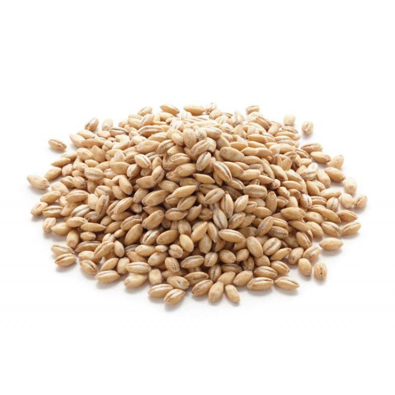 Organic Barley Grass Sprouting Seeds by Nature's Root – 125g