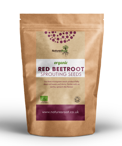 Organic Red Beetroot Sprouting Seeds - Natures Root