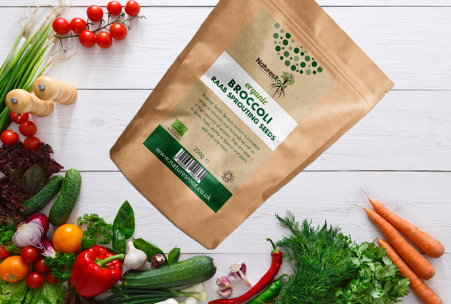 Organic Broccoli Raab Sprouting Seeds by Nature's Root – 1kg