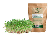 Organic Broccoli Raab Sprouting Seeds - Natures Root